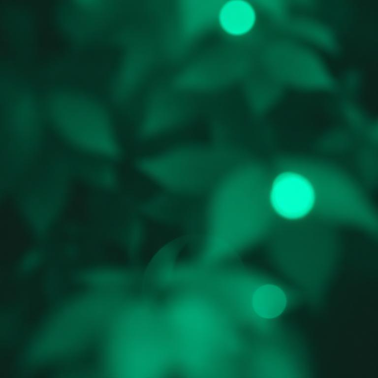 Indie